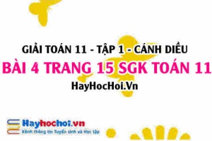 Giải bài 4 trang 15 Toán 11 tập 1 SGK Cánh Diều